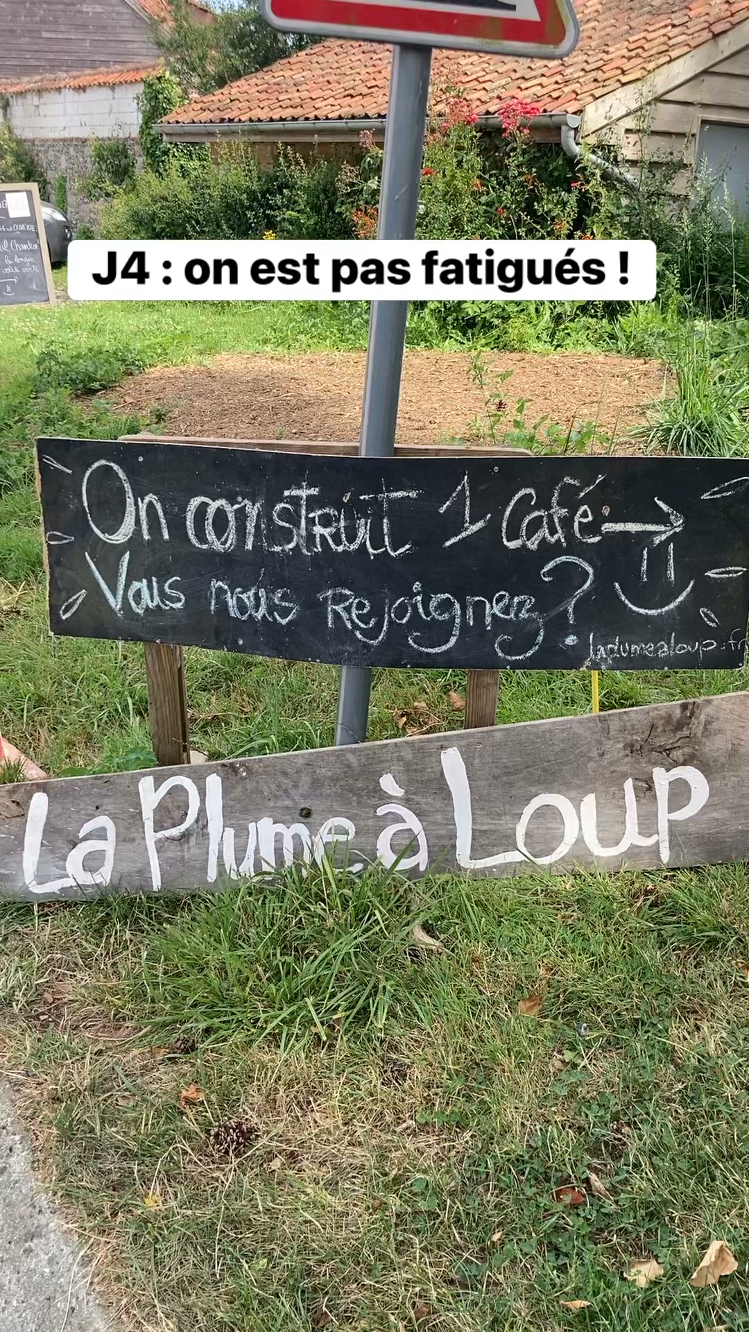La plume à loup